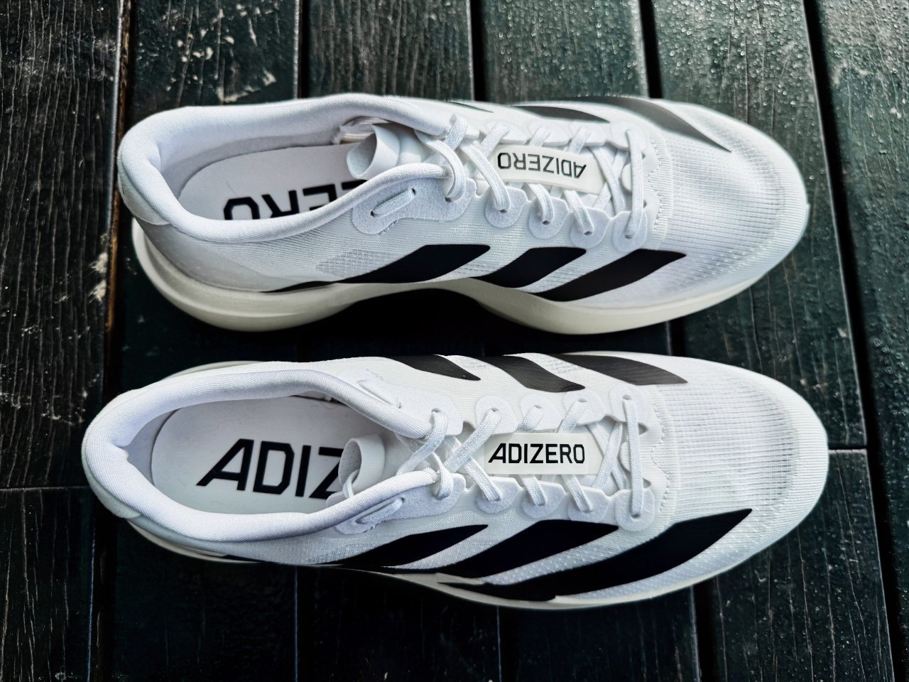 Picture of adidas adizero Evo SL