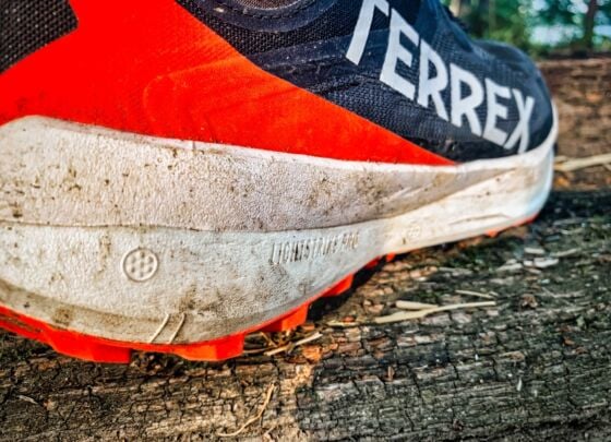 Picture of adidas Terrex Agravic Speed