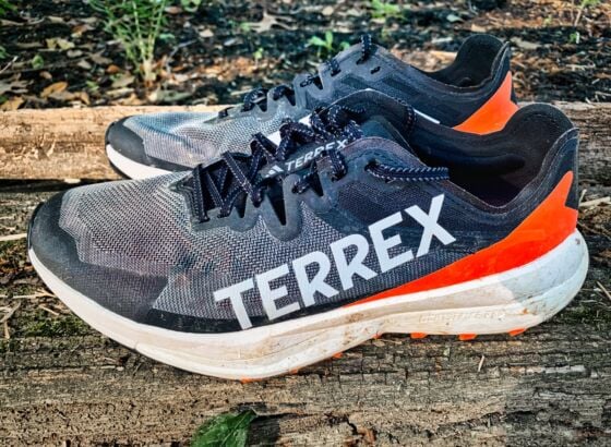 Picture of adidas Terrex Agravic Speed
