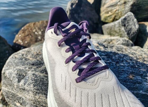 Picture of Altra Experience Form