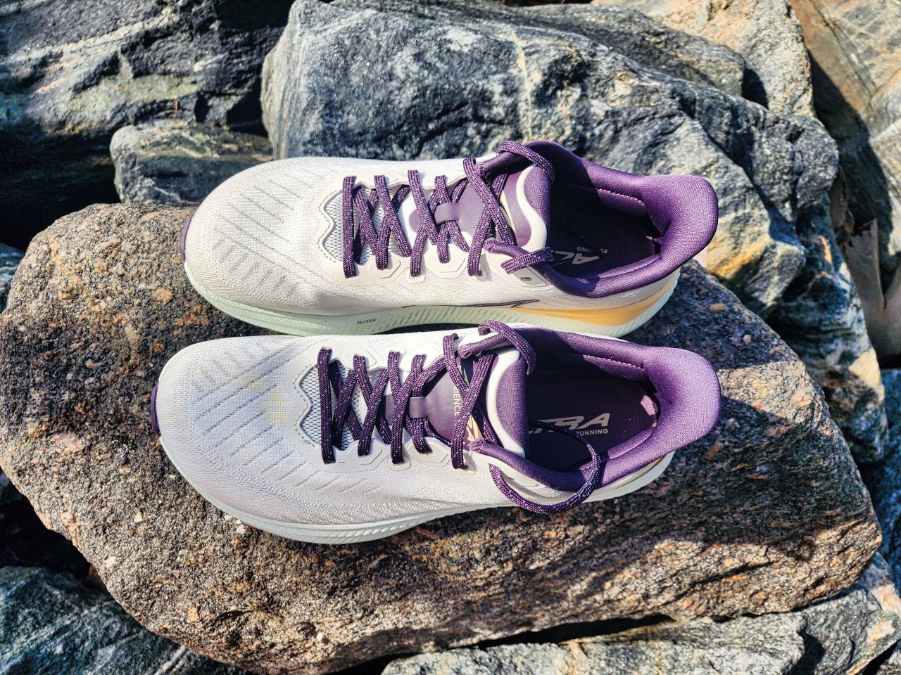 Picture of Altra Experience Form