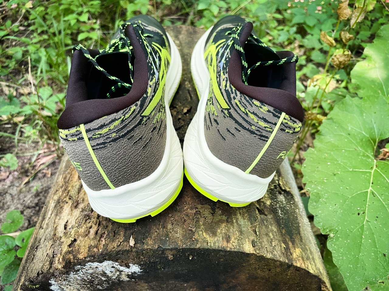 Picture of ASICS Fuji Lite 5