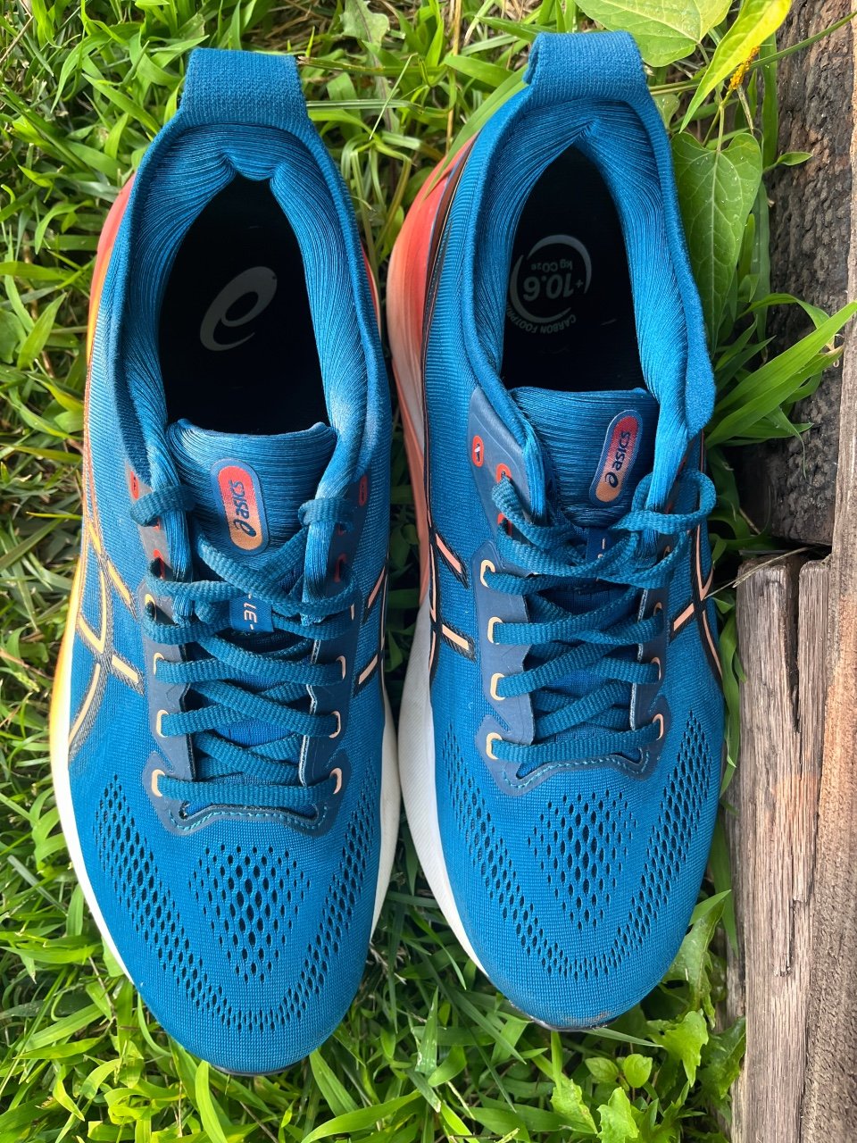 Picture of ASICS Gel Kayano 31