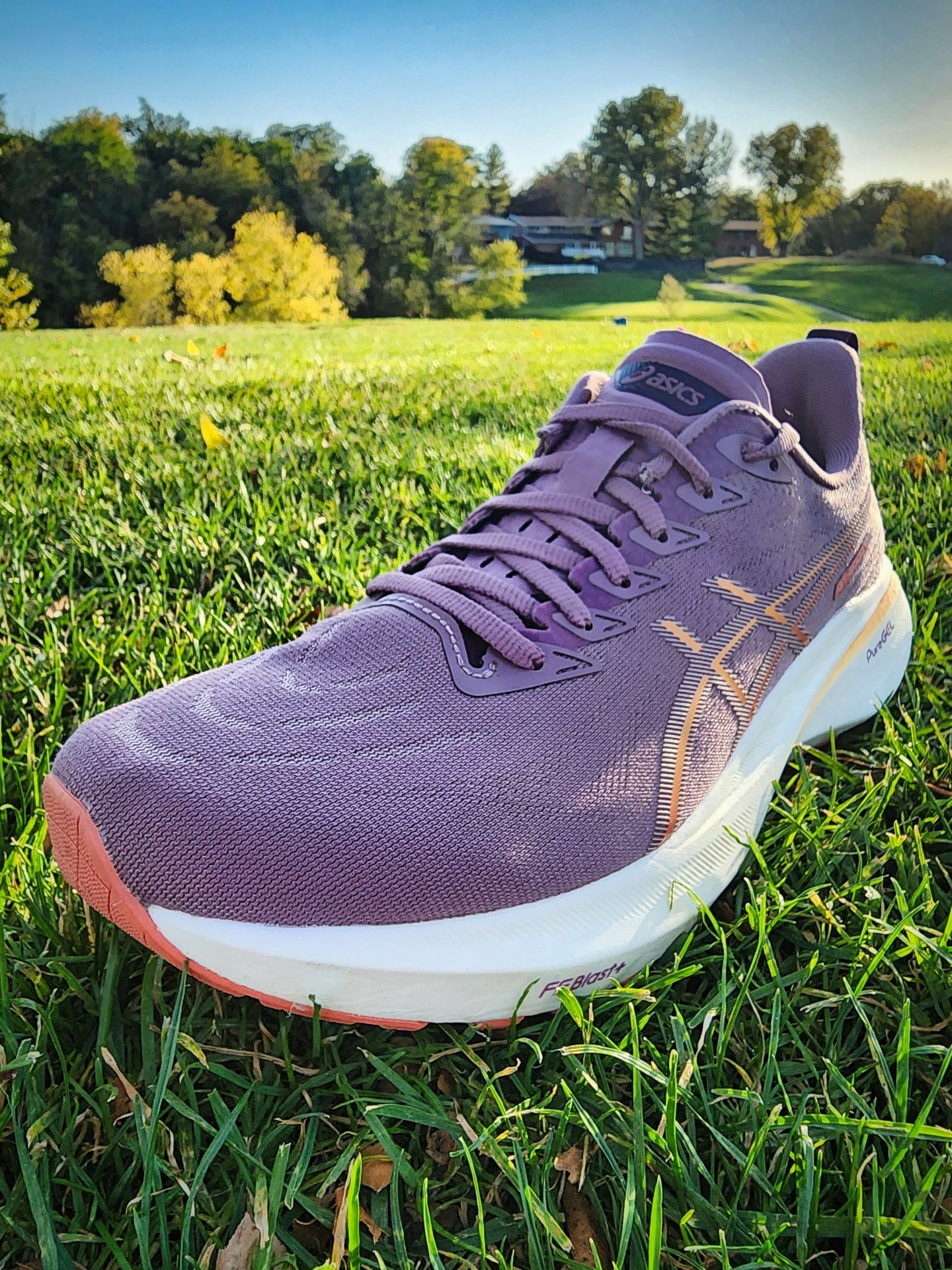 Picture of ASICS GT 2000 13