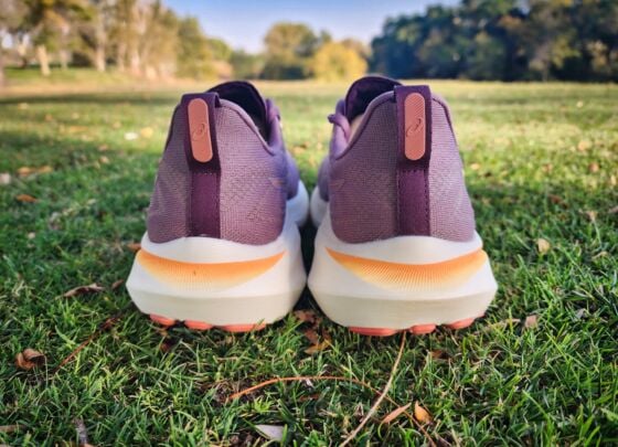 Picture of ASICS GT 2000 13