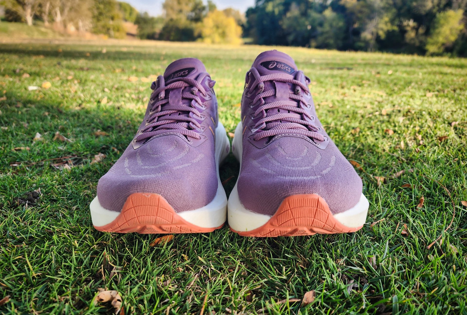 Picture of ASICS GT 2000 13