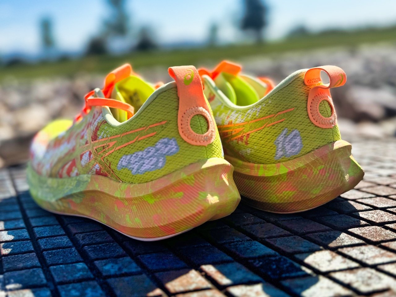 Picture of ASICS Noosa Tri 16