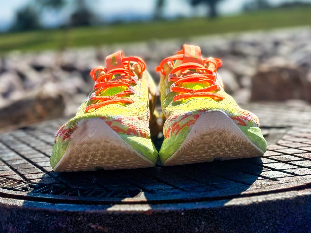 Picture of ASICS Noosa Tri 16