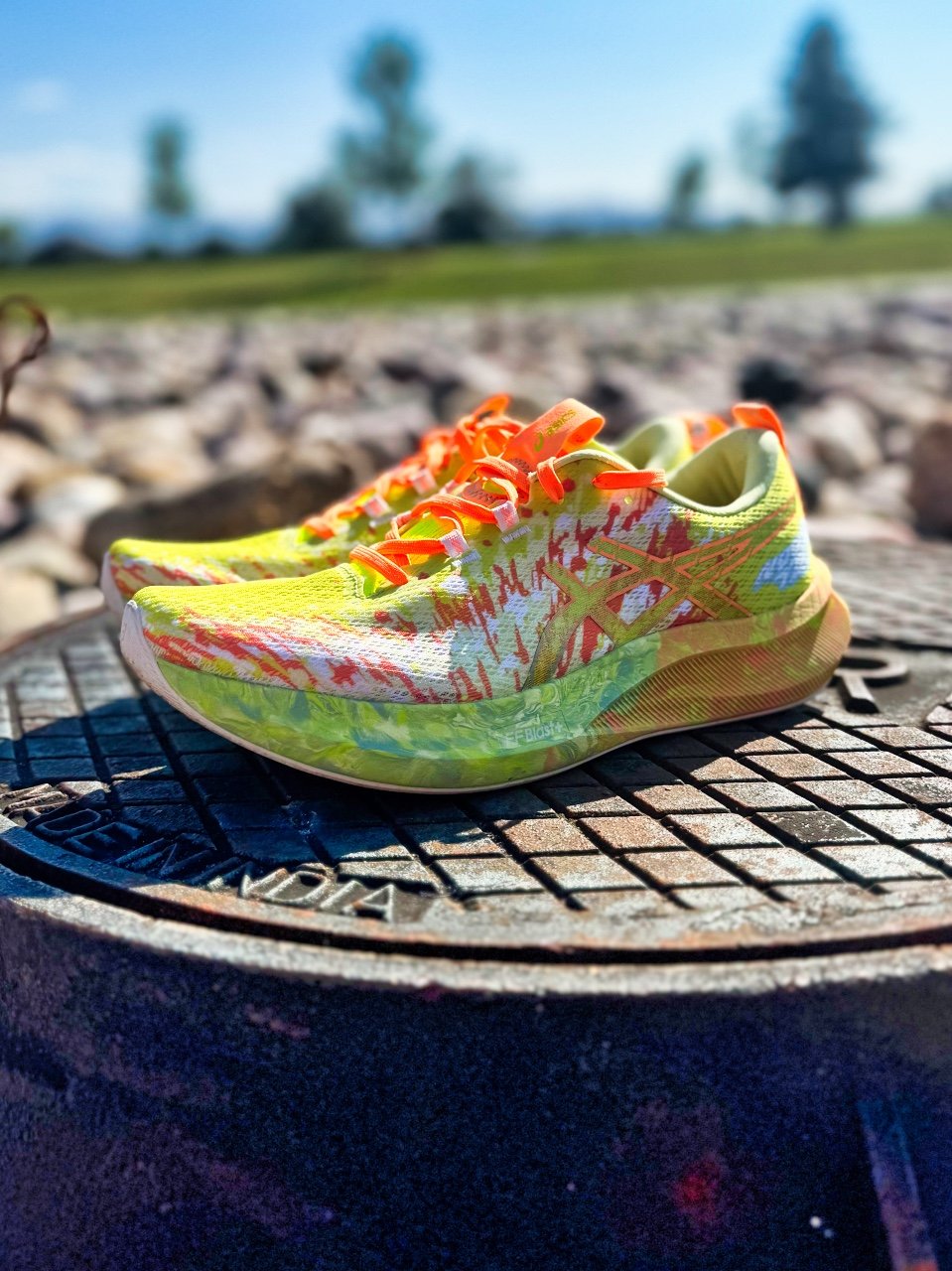 Picture of ASICS Noosa Tri 16