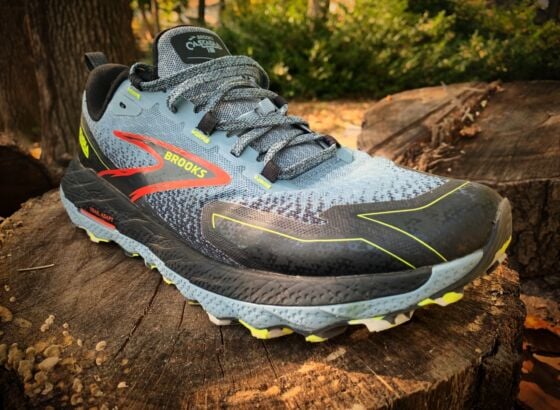 Picture of Brooks Cascadia 18