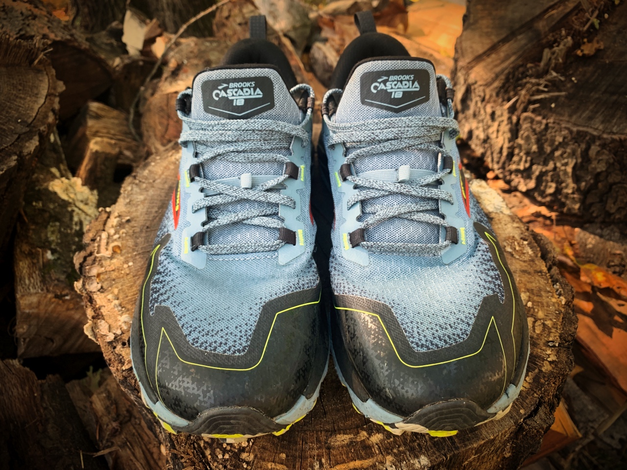 Picture of Brooks Cascadia 18
