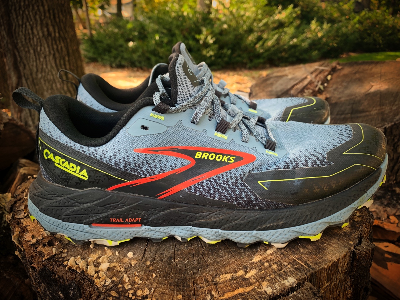 Picture of Brooks Cascadia 18