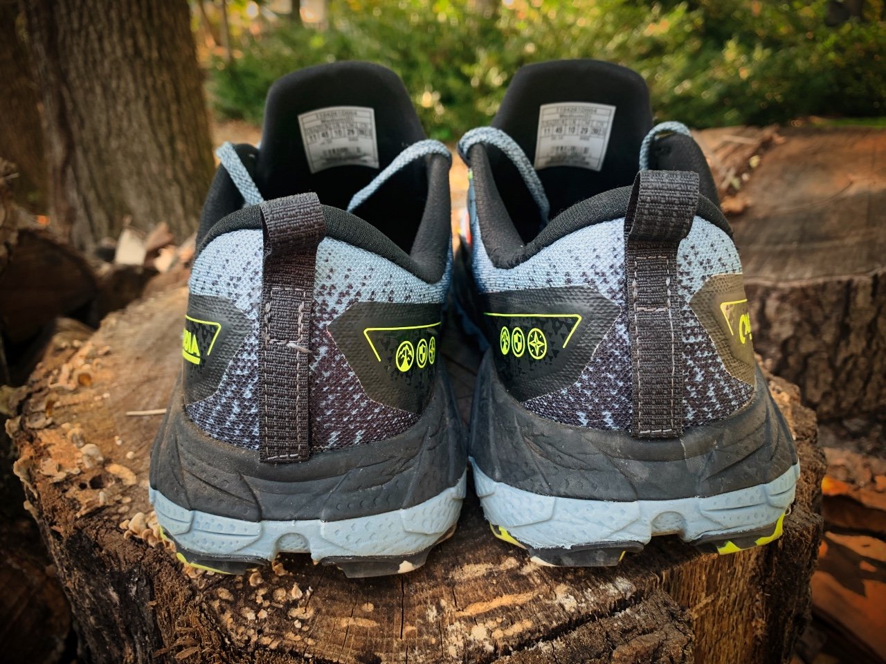 Picture of Brooks Cascadia 18