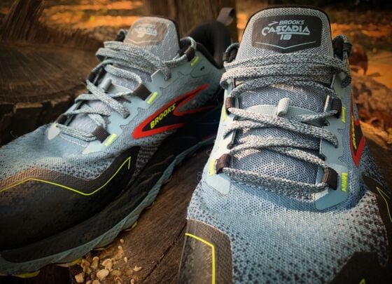 Picture of Brooks Cascadia 18