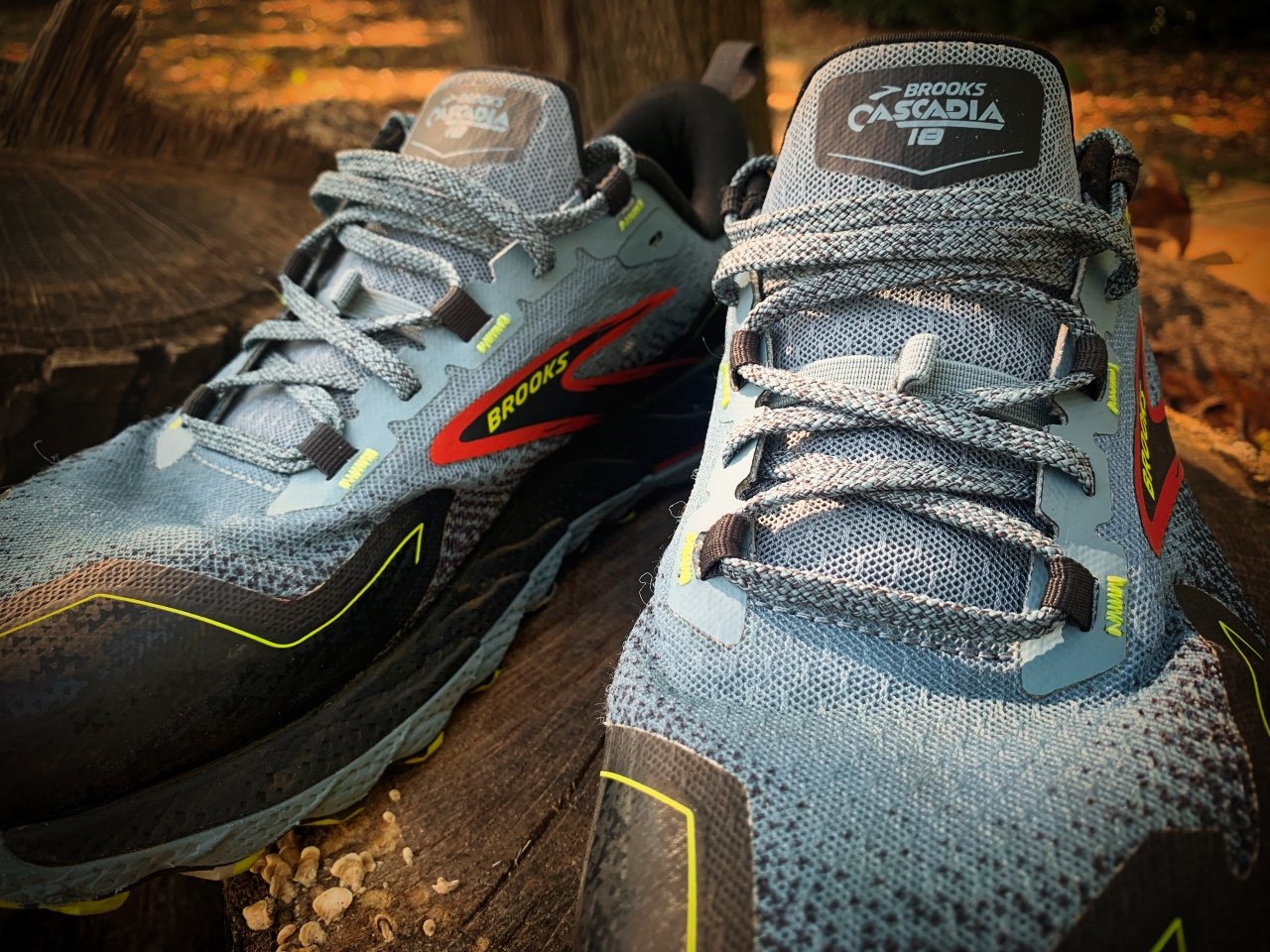 Picture of Brooks Cascadia 18