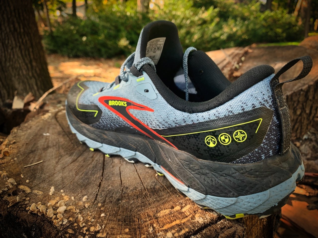 Picture of Brooks Cascadia 18