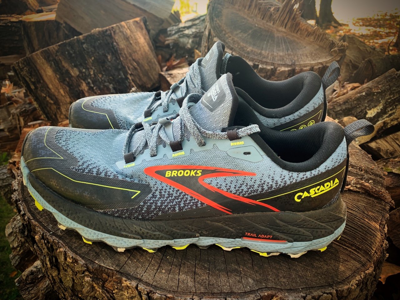 Picture of Brooks Cascadia 18