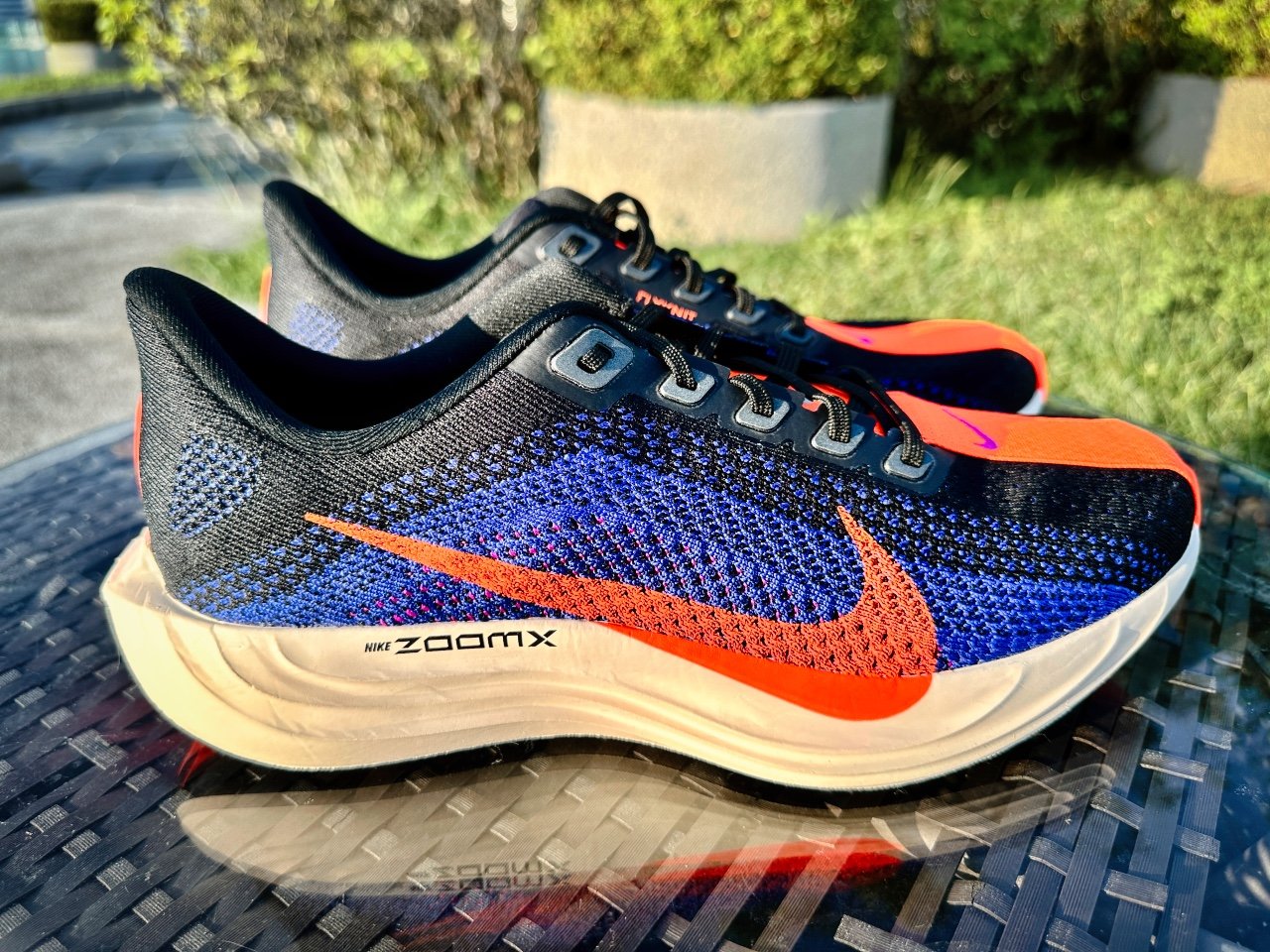 Picture of Nike Pegasus Plus