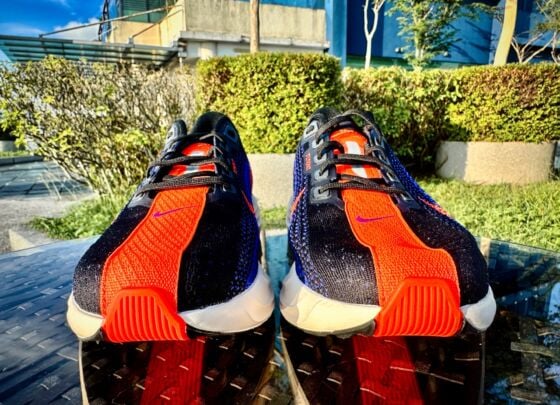 Picture of Nike Pegasus Plus