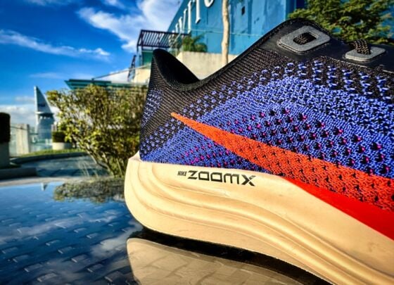 Picture of Nike Pegasus Plus