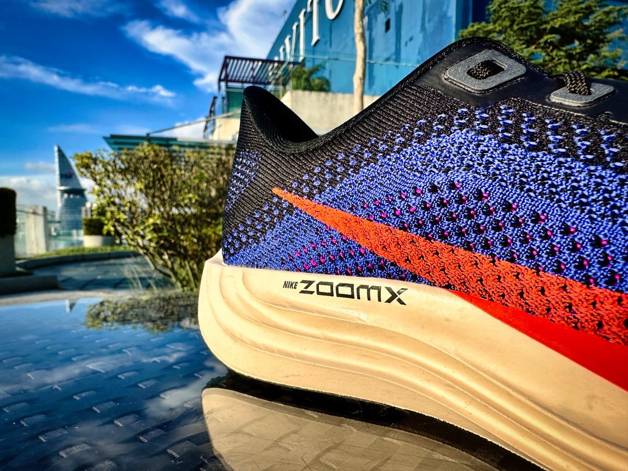 Picture of Nike Pegasus Plus