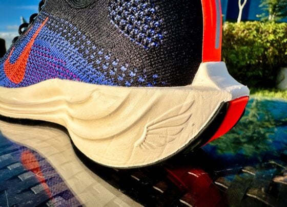 Picture of Nike Pegasus Plus