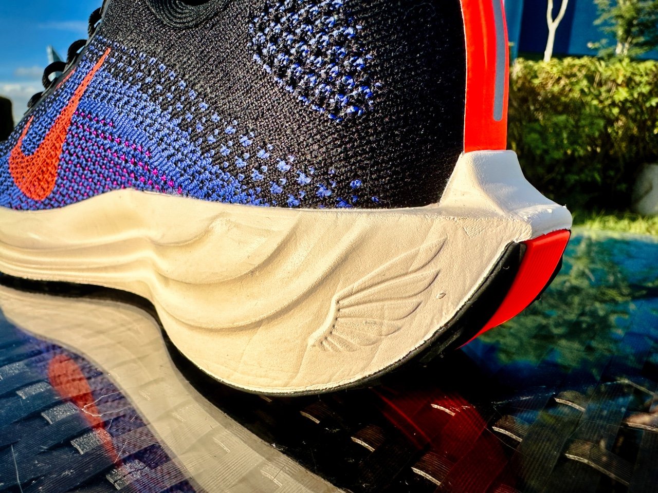 Picture of Nike Pegasus Plus