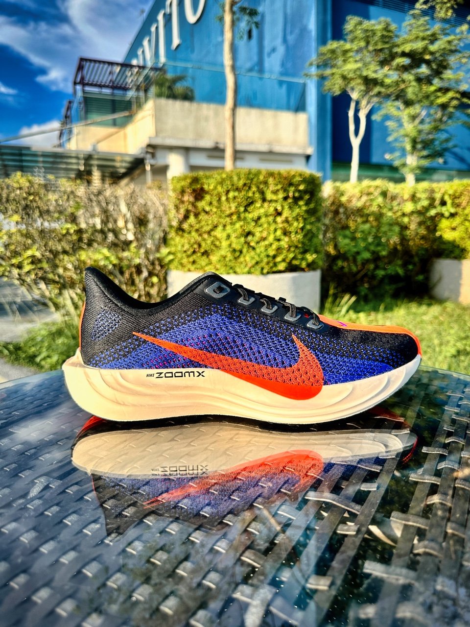 Picture of Nike Pegasus Plus