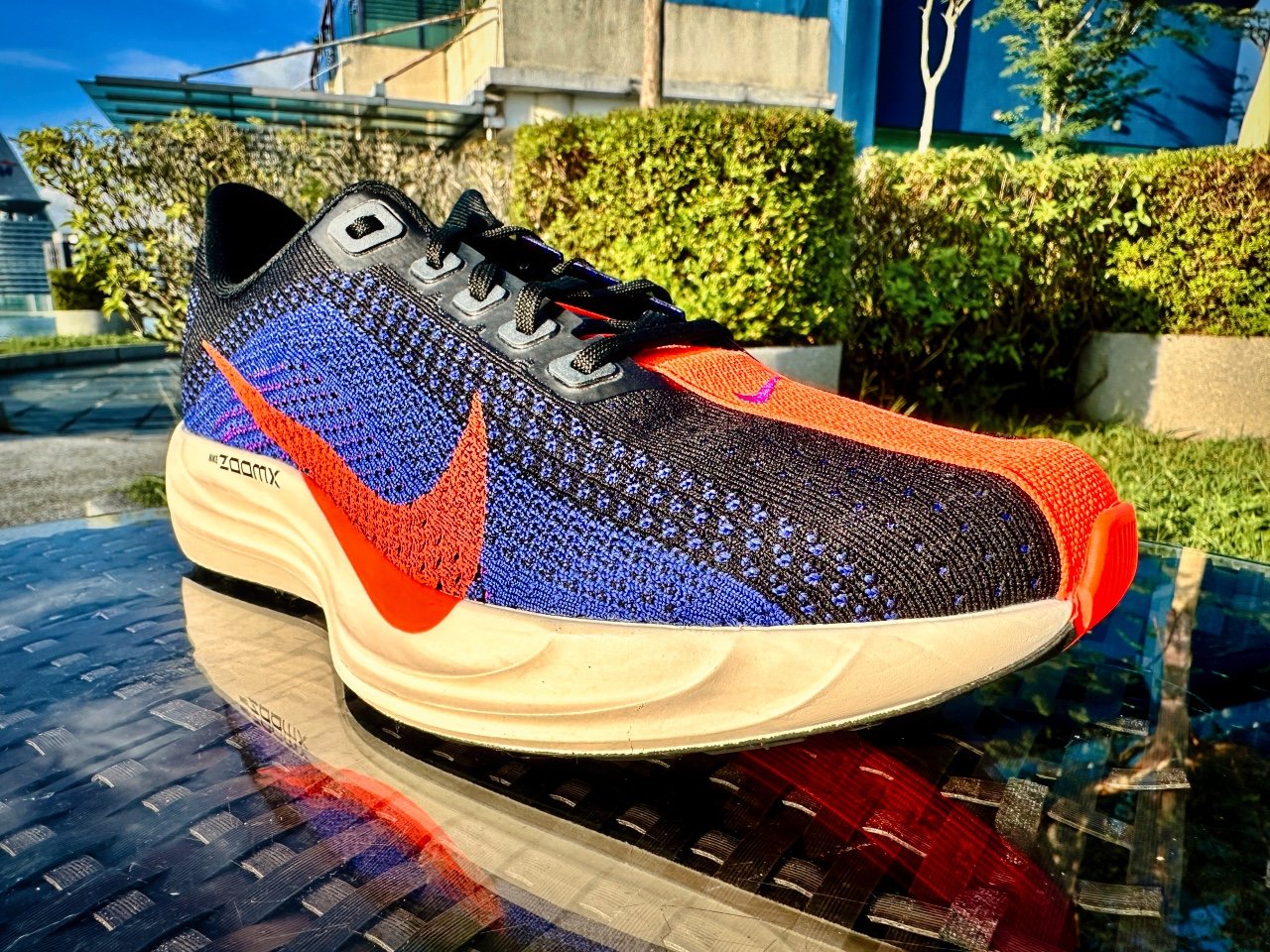 Picture of Nike Pegasus Plus