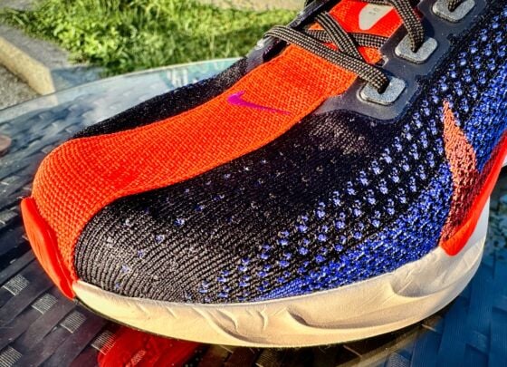 Picture of Nike Pegasus Plus