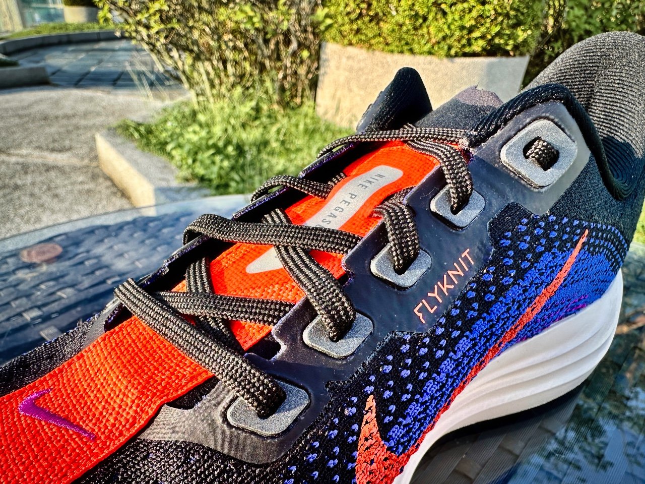 Picture of Nike Pegasus Plus