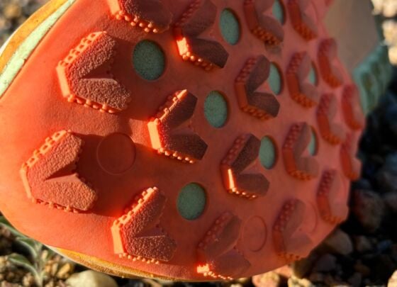 Picture of Nike Zegama Trail 2
