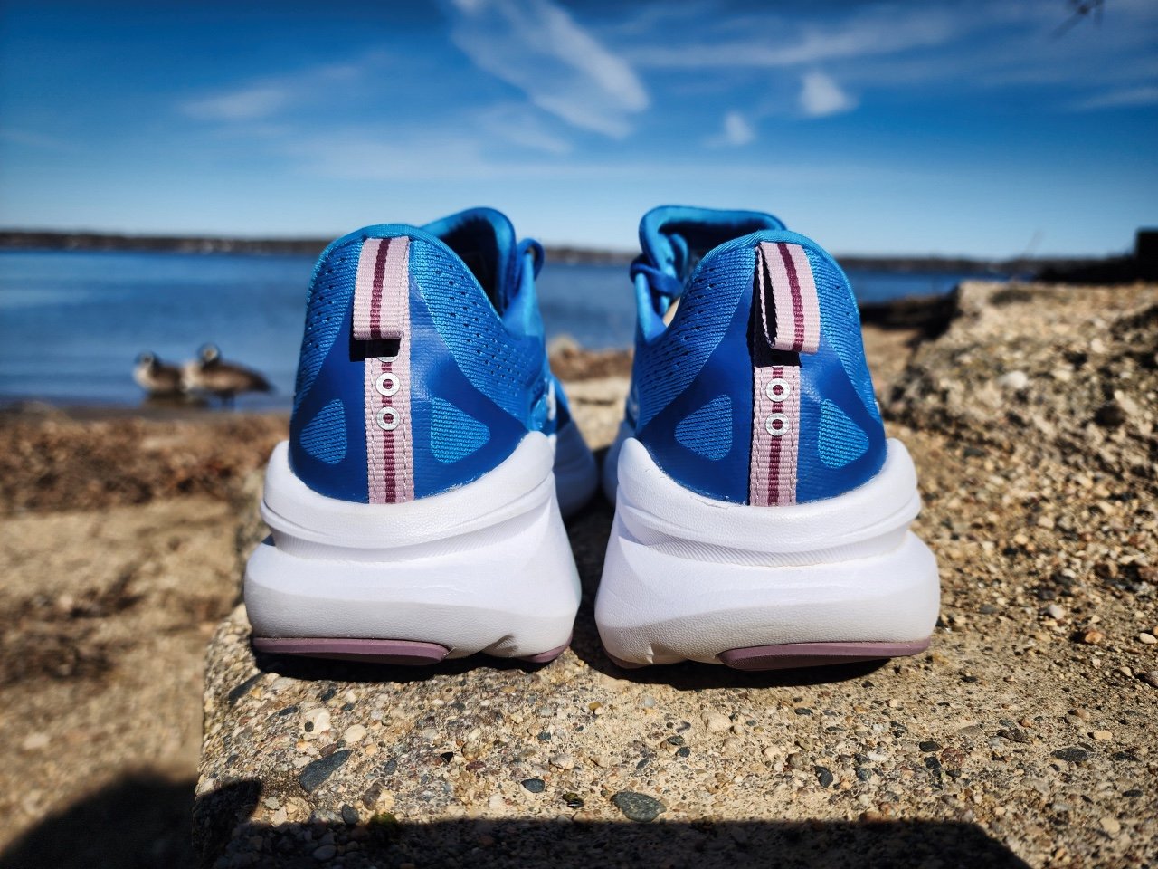 Picture of Saucony Omni 22
