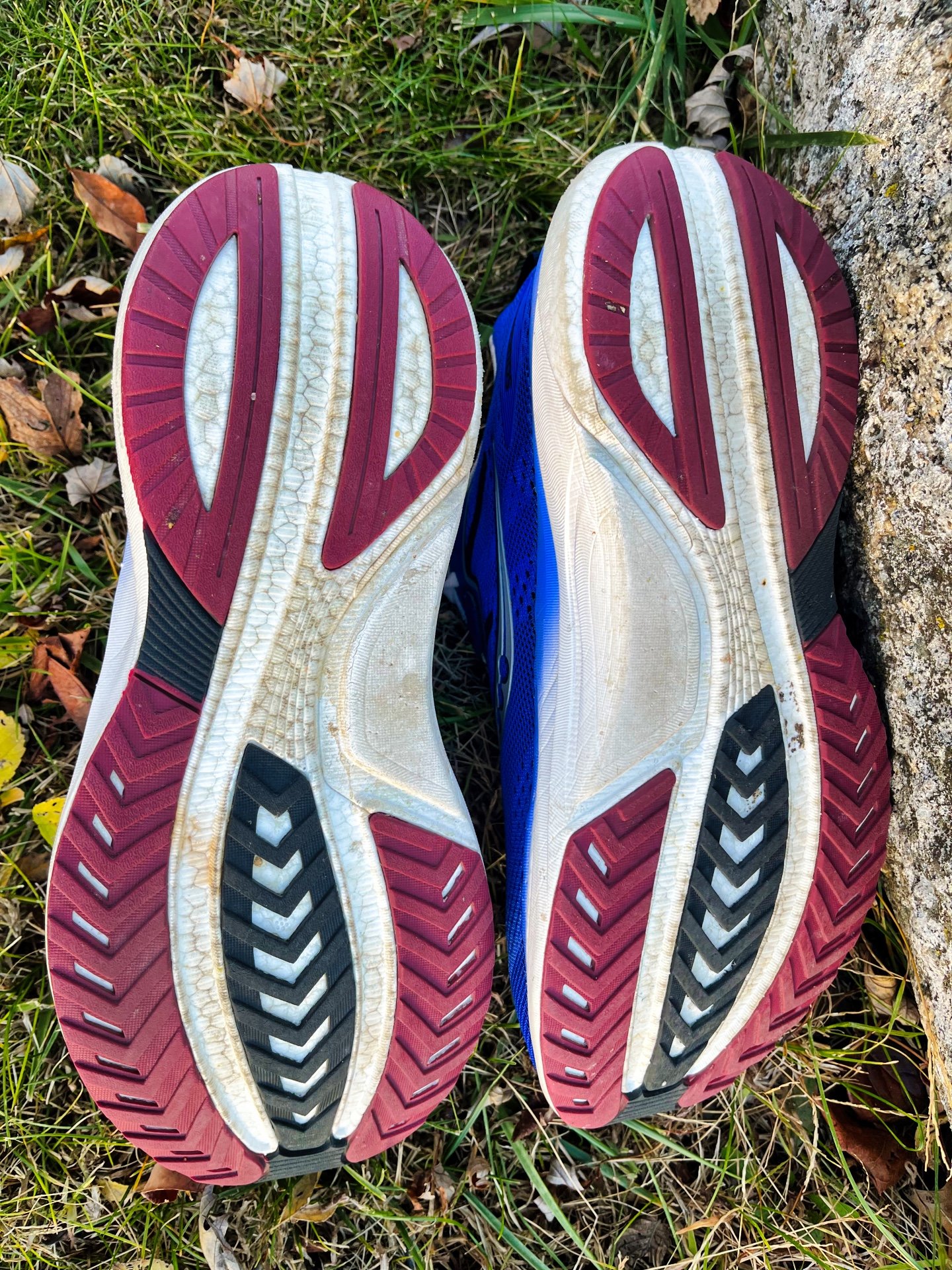 Picture of Saucony Tempus 2
