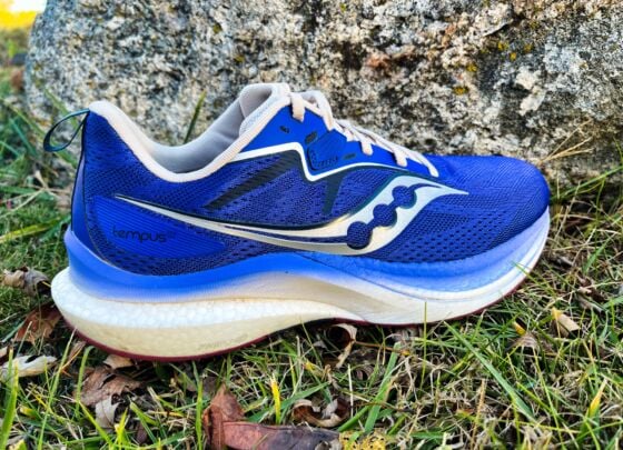 Picture of Saucony Tempus 2