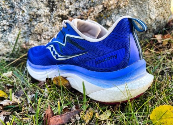 Picture of Saucony Tempus 2