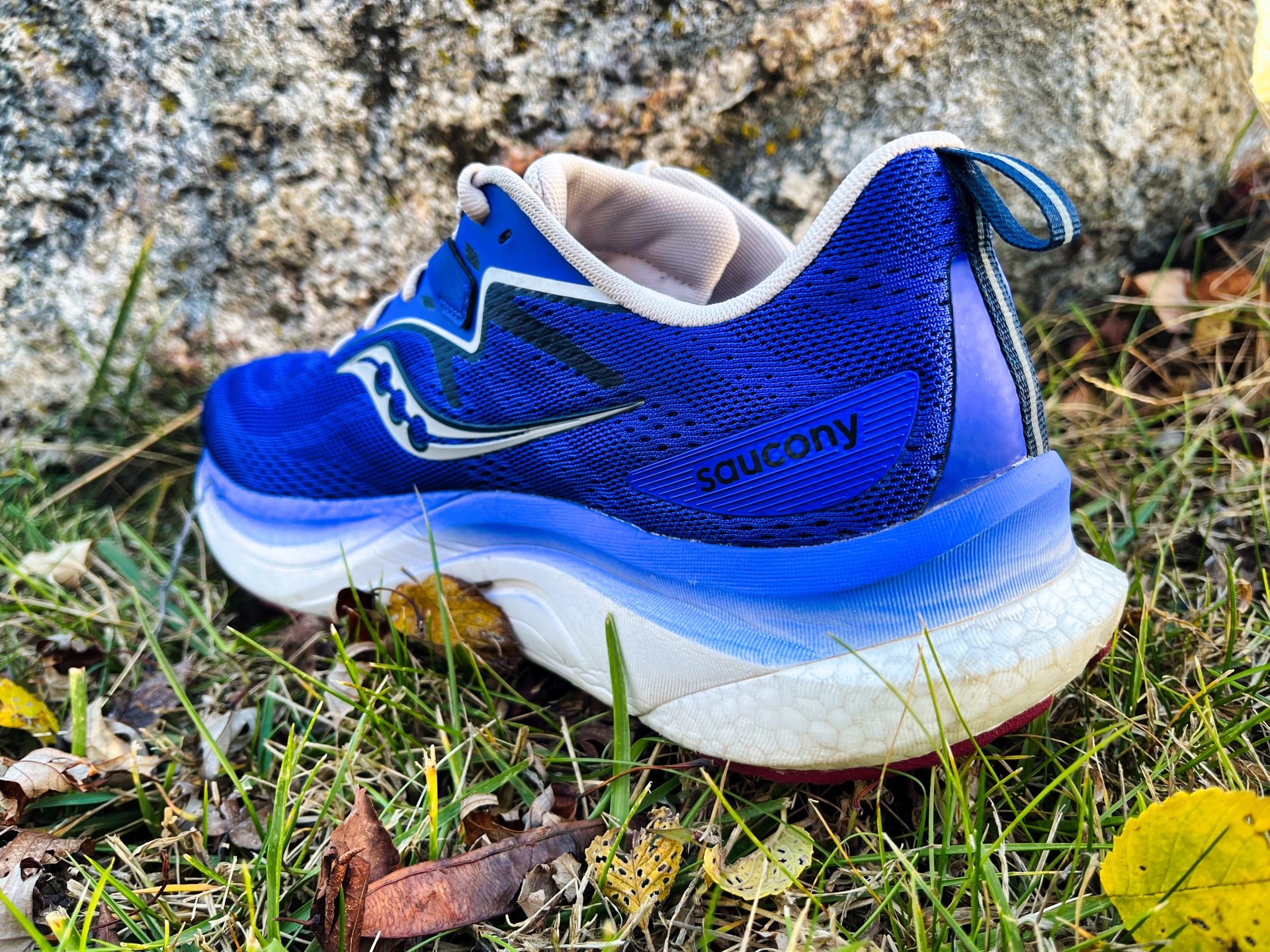 Picture of Saucony Tempus 2