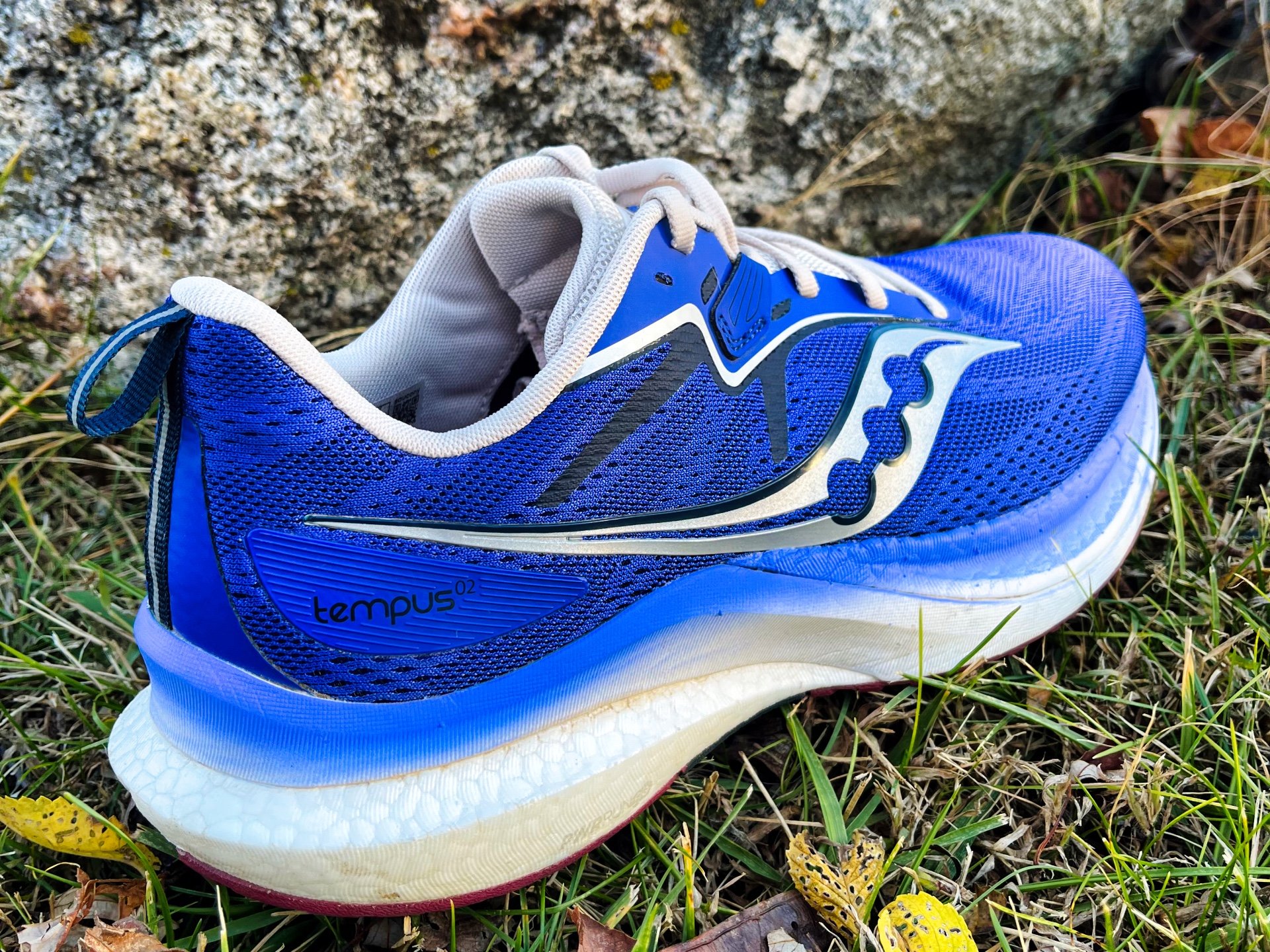 Picture of Saucony Tempus 2