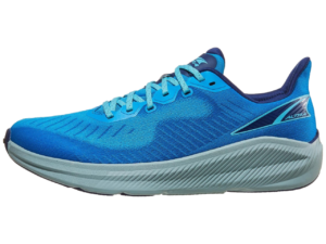 This is a picture of the Altra Experience Form