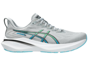 This is a picture of the ASICS GT 2000 13