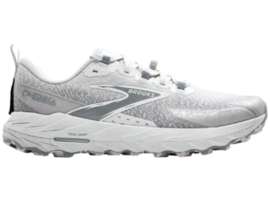 This is a picture of the Brooks Cascadia 18