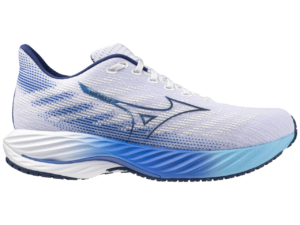 This is a picture of the Mizuno Wave Rider 28