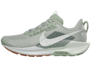 This is a picture of the Nike Pegasus Trail 5