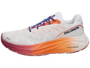 This is a picture of the Salomon Aero Glide 2